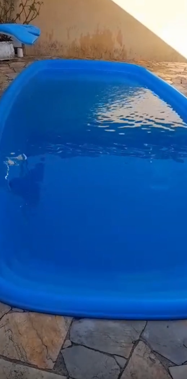 Piscina de fibra azul antes e depois do tratamento de choque